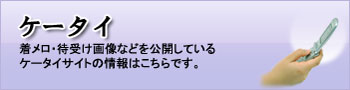 �P�[�^�C