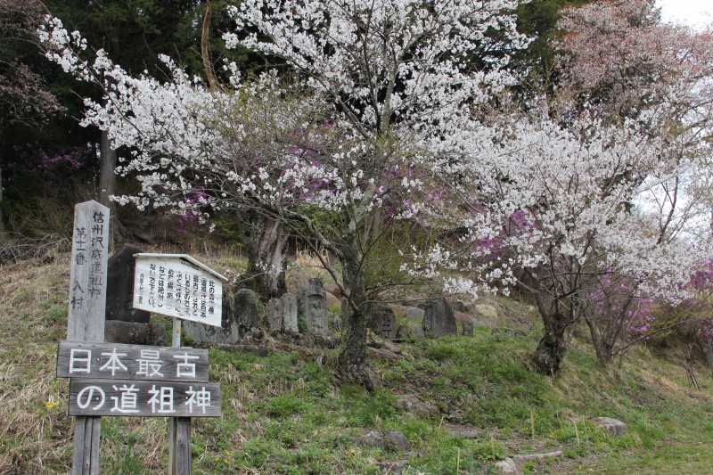  �K�� ����̎ʐ^