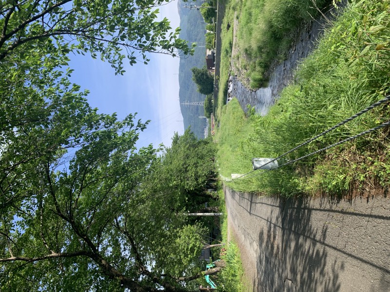  ������ ����̎ʐ^