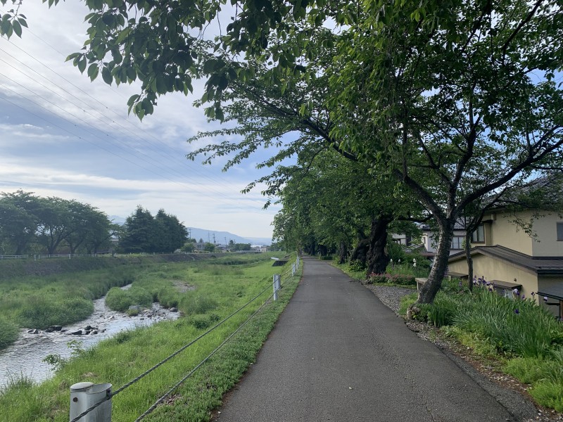  ������ ����̎ʐ^