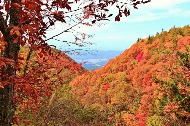  �t���[�ό��K�C�h ����̎ʐ^