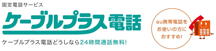 エルシーブイ株式会社 Lcvひかり De トーク 料金とサービス